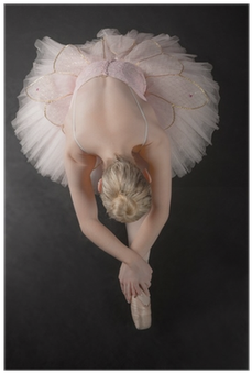Graceful Ballerina Bending Forward In Pink Tutu Poster - Ballerina Bending Forward (400x400), Png Download