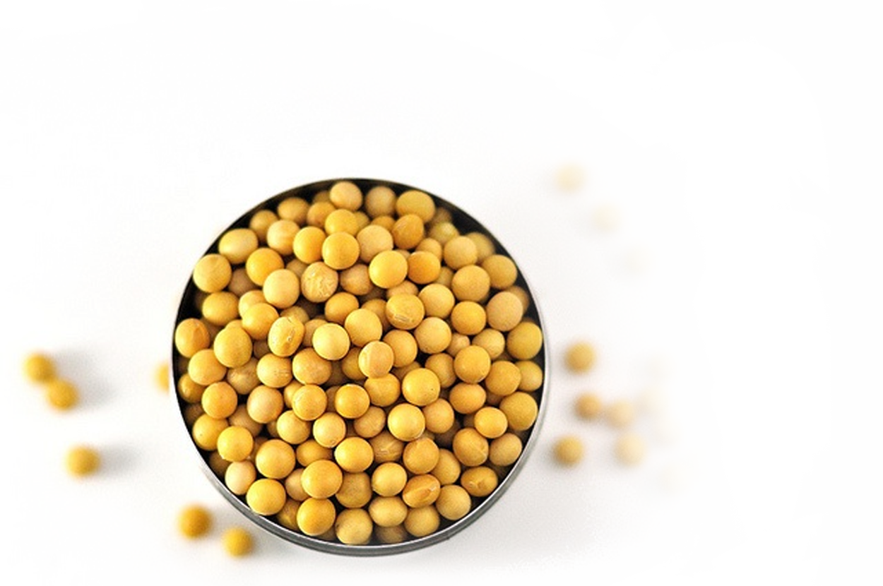 Б сое. Б сое. Б сое. Сорт сои китросса. Чунцинский soybean.