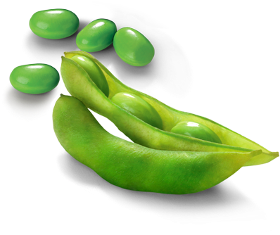 Edamame Png Photos - Edamame Png (450x342), Png Download