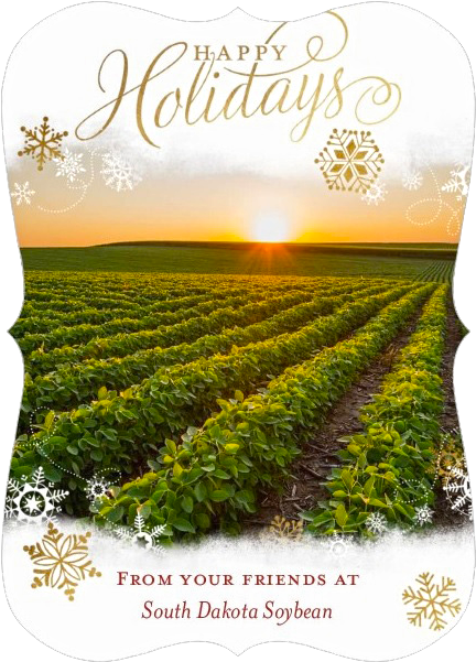 Cash Crop (483x627), Png Download