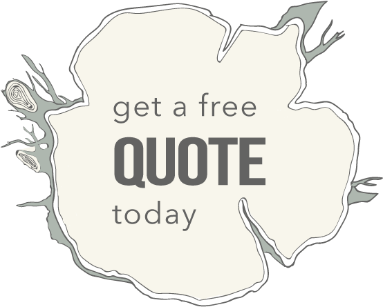 Bird - Illustration (604x531), Png Download