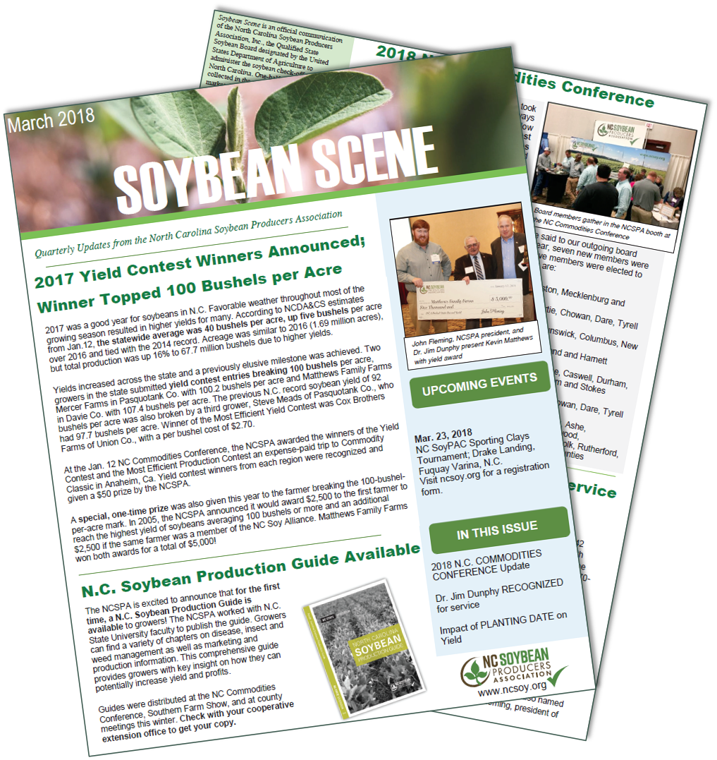 Soybean - Flyer (1017x1077), Png Download