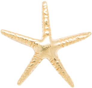Single Starfish Stud 14k - Starfish (1665x1800), Png Download