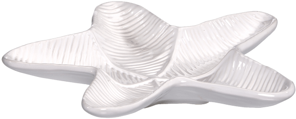 Starfish Ceramic Candle Holder - Starfish (600x600), Png Download