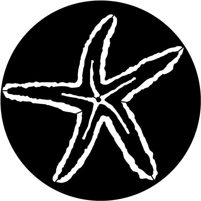 Sea Starfish - Apollo Sea Starfish Steel Gobo Ms-7005 (800x800), Png Download