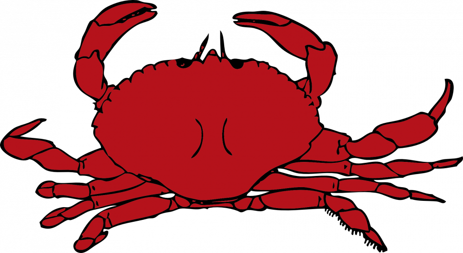 Learn How To Draw A Cartoon Crab - Crab Clipart (948x519), Png Download