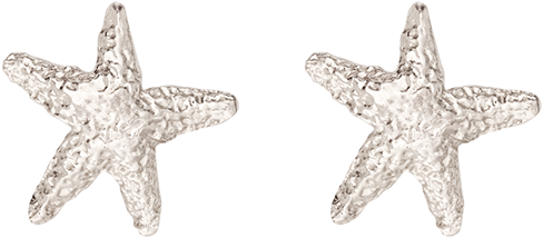 14k White Gold Starfish Studs - Starfish Stud Earring (496x524), Png Download