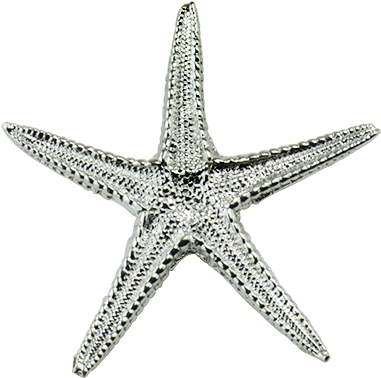 Sea Star Pendant Large - Stock Illustration (491x435), Png Download