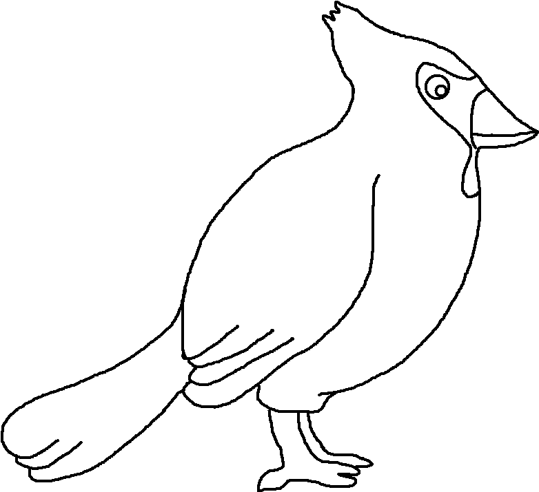 Background Courtesy Of - Pheasant (789x730), Png Download