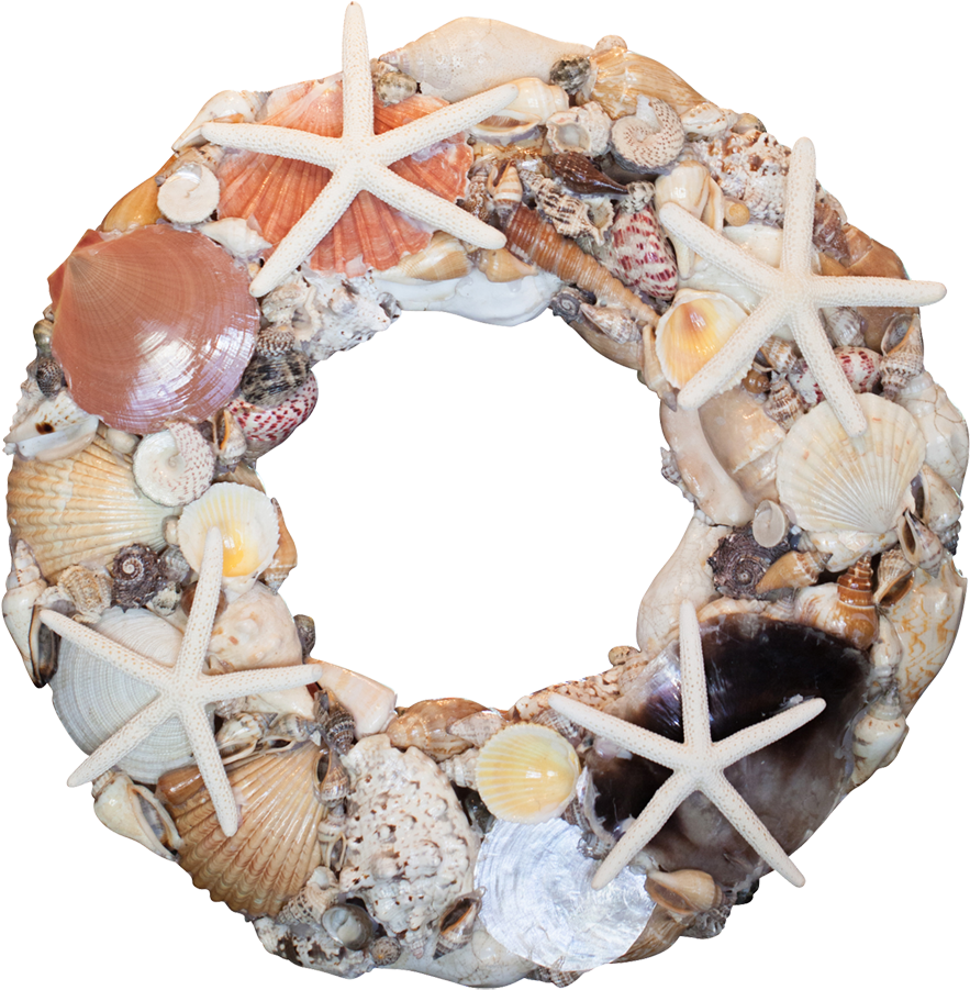 Seashell Company 15" Wreath Driftwood & Starfish (1100x1100), Png Download