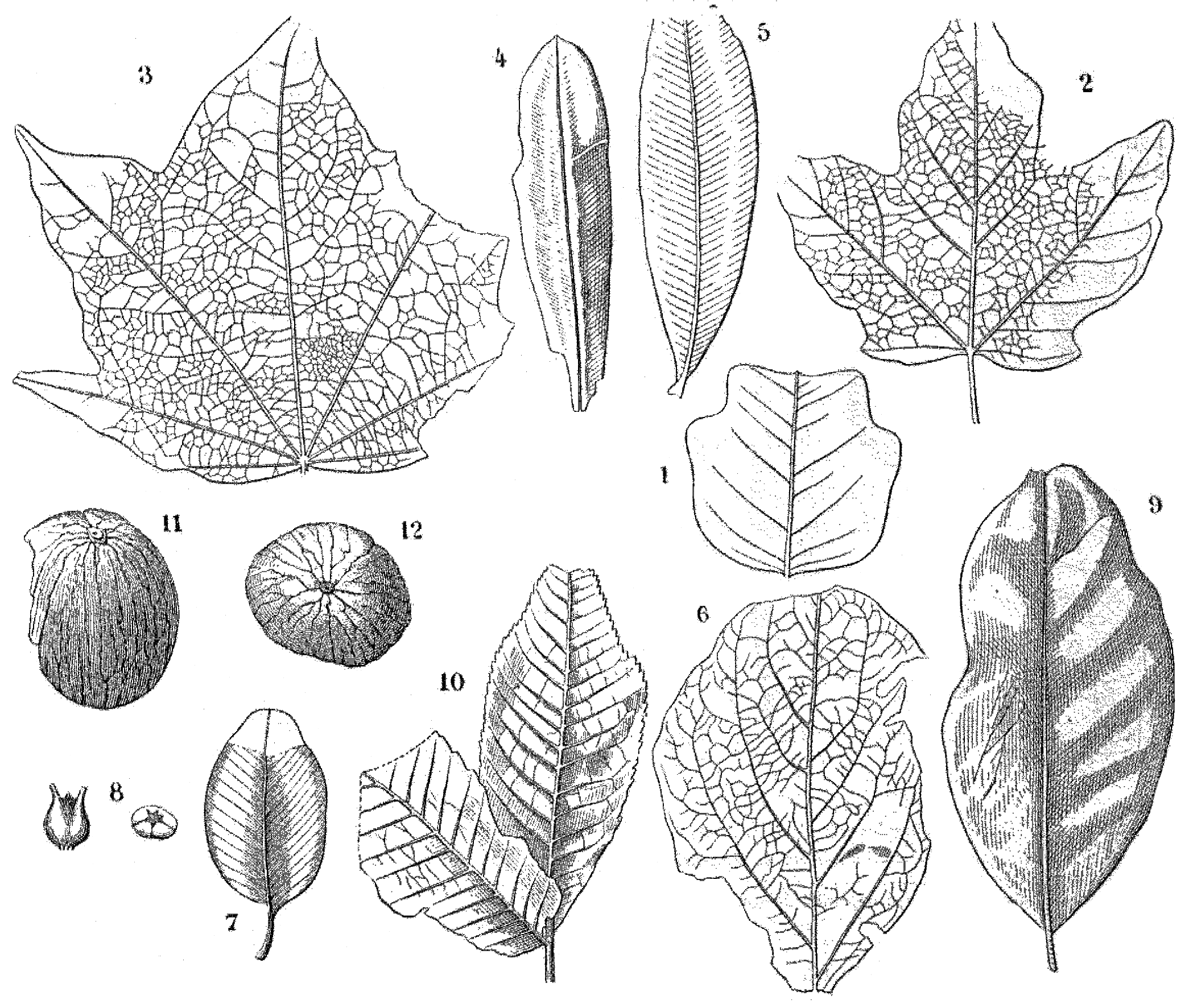 File - La Nature - 1878 - S1 - P285 - Les Périodes - Drawing (2090x1772), Png Download