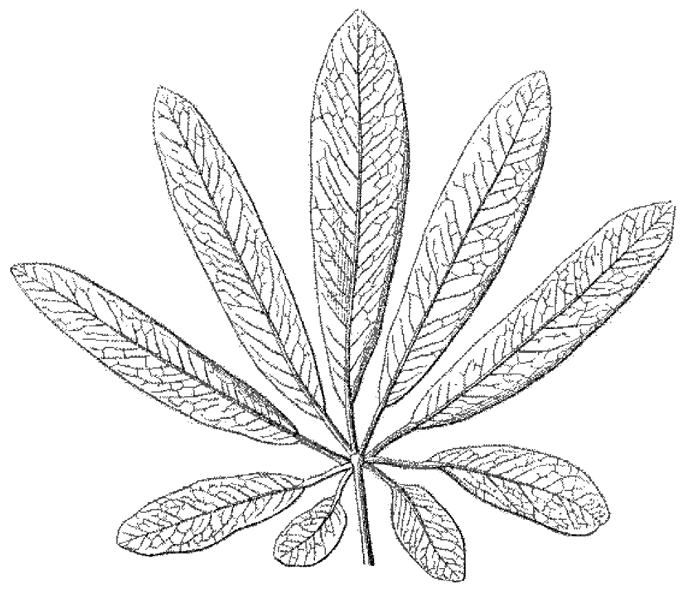 File - La Nature - 1877 - S2 - P125 - Les Périodes - Illustration (996x862), Png Download