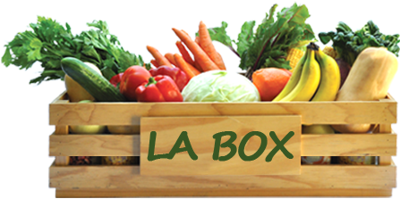 Carrito Con Verduras Png (520x250), Png Download