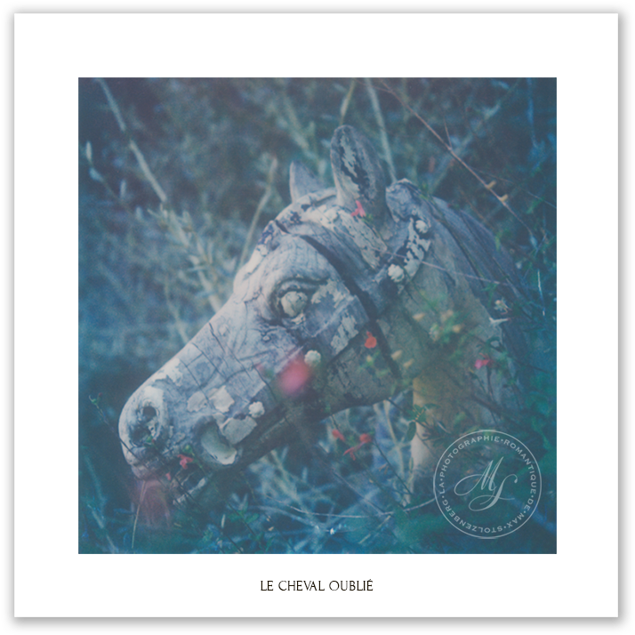Le Chevall Oublie Post - Burro (1024x777), Png Download