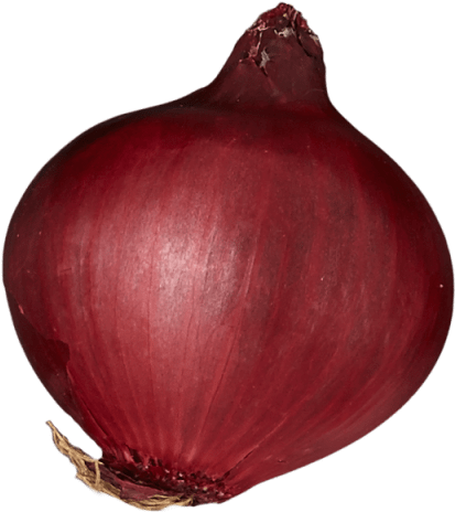Red Onion (640x640), Png Download