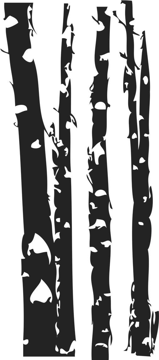 Birch Tree Wall Decal Easy Decals - Ski (1667x1146), Png Download