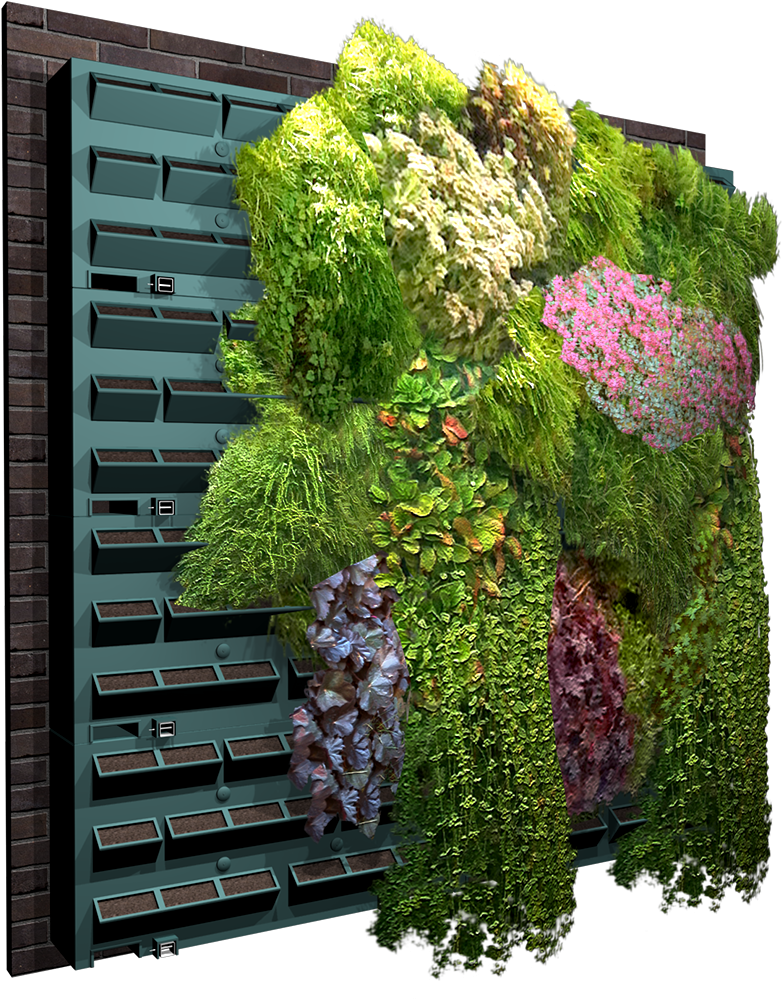 Mur Vegetal (1000x1000), Png Download