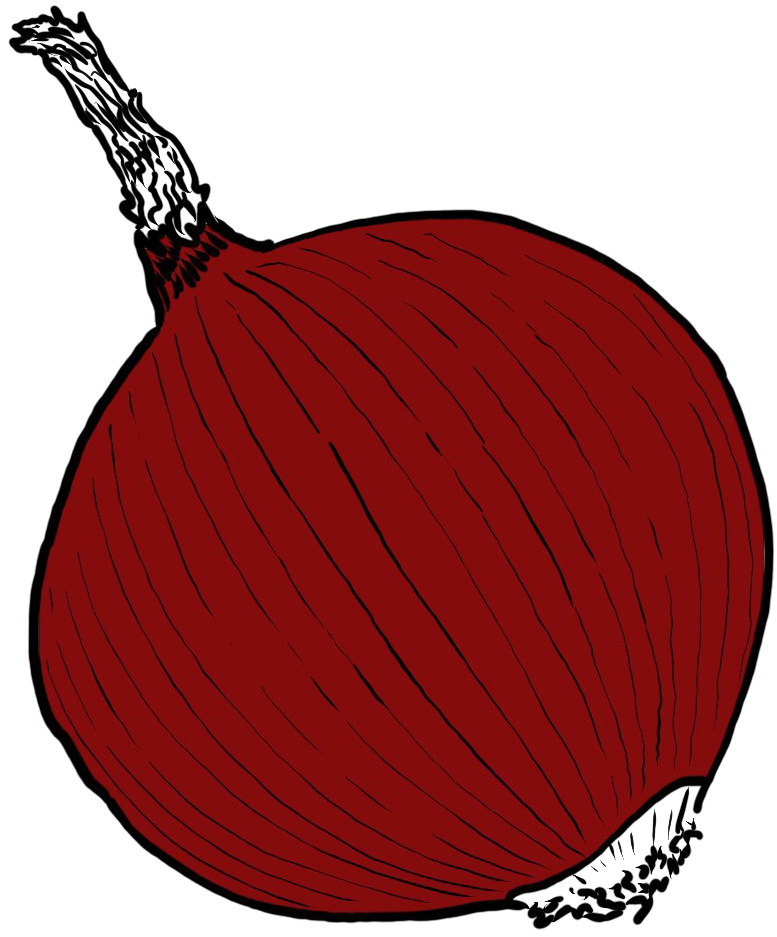 Single Onion Png Image - Illustration (1800x1200), Png Download
