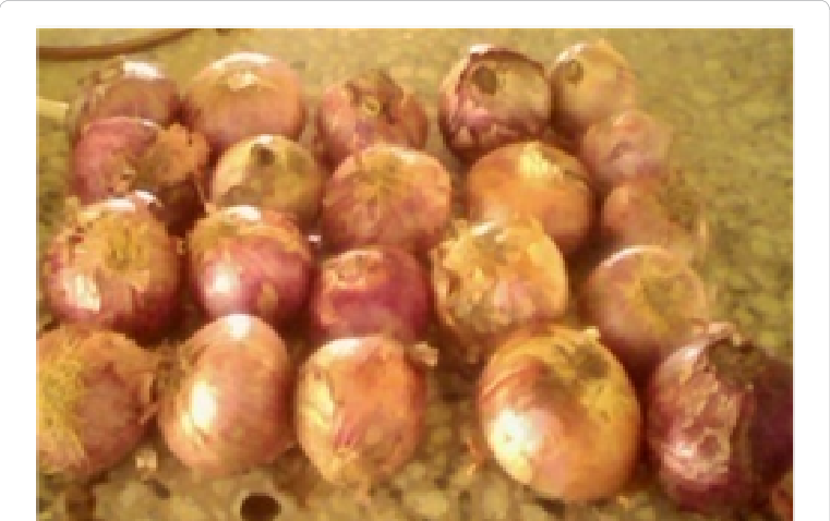 Whole Onion Samples - Onion (761x478), Png Download
