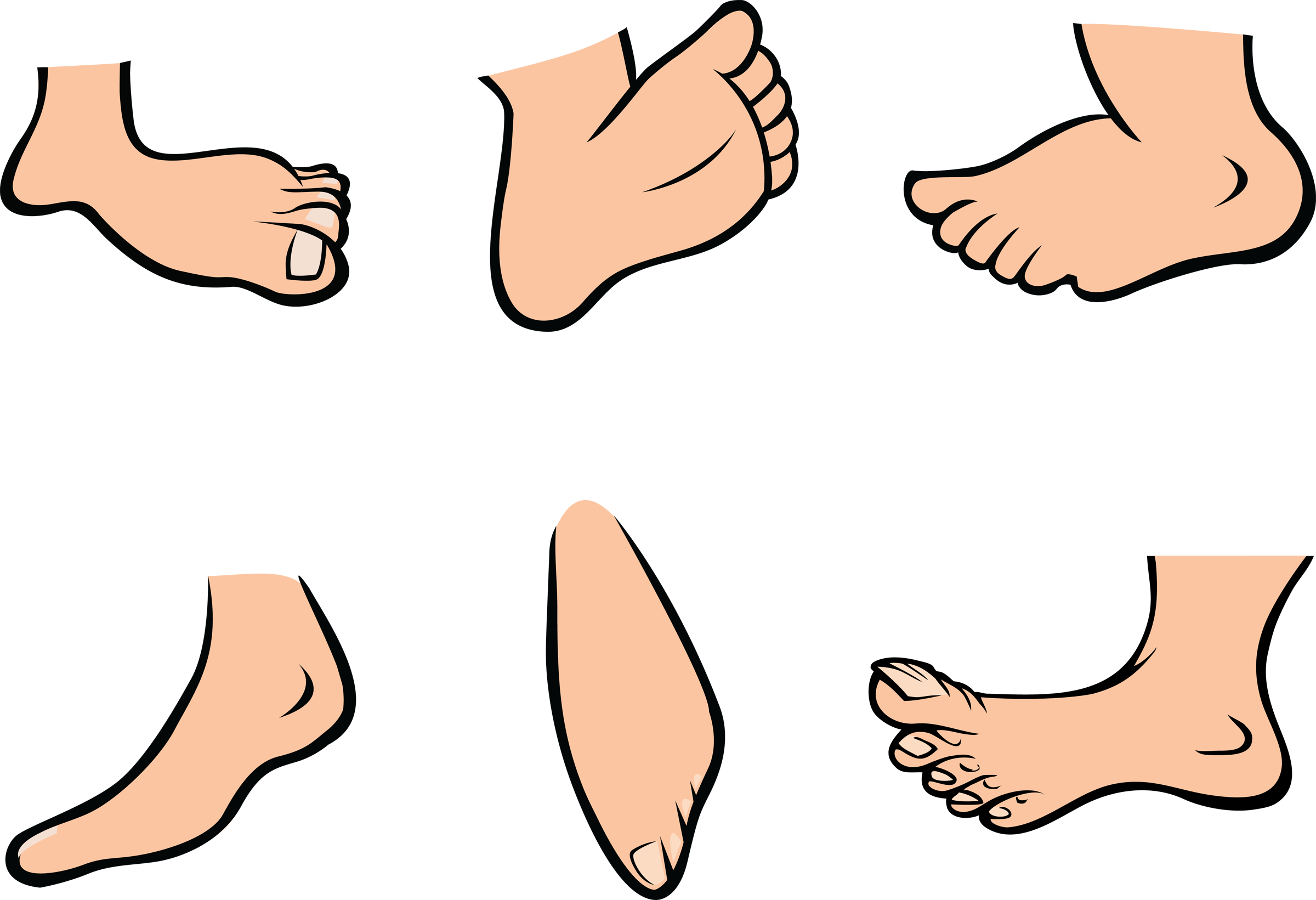 Cartoon Foot Clipart - Feet Clipart (2400x1641), Png Download