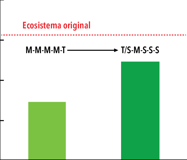 Aporte Estimado De Carbono De Residuos Vegetales A - Orange (610x524), Png Download