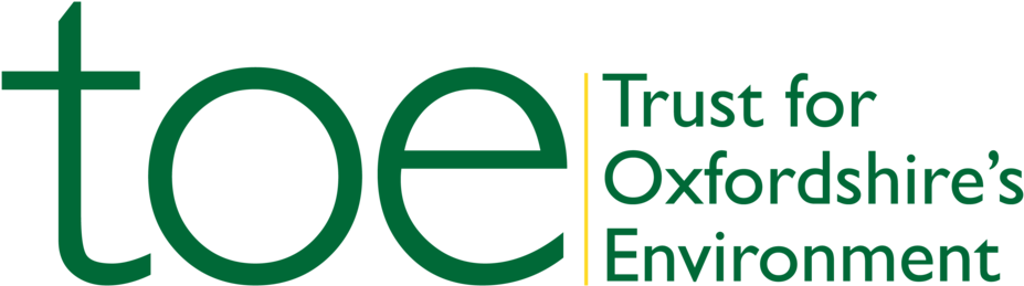 Toe2 Logo Rev - Magazine Dos And Donts (1000x270), Png Download