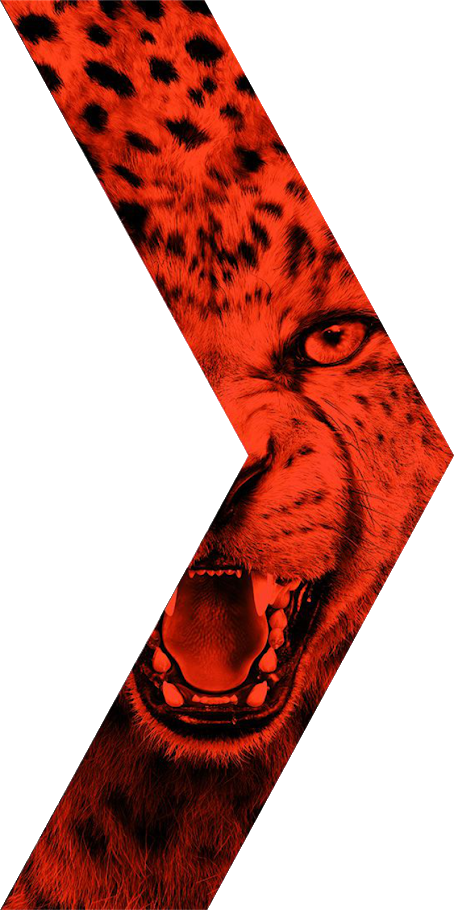 Download Nike Born Mercurial Png PNG Image with No Background PNGkey