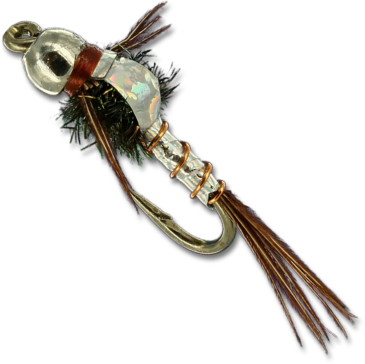 Bee (800x800), Png Download