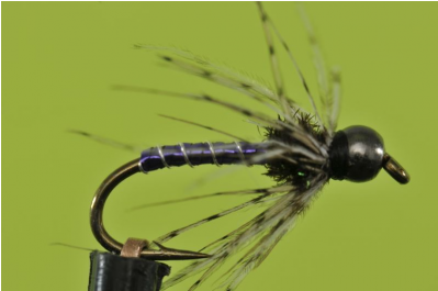Damselfly (398x398), Png Download