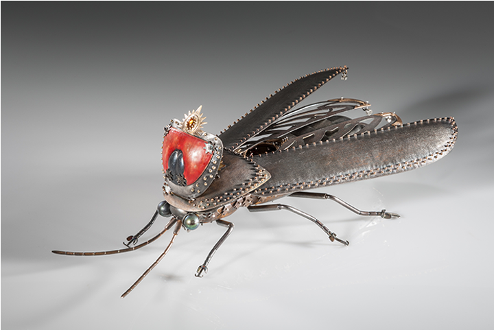 House Fly (960x480), Png Download