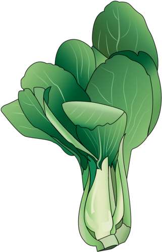 Bok Choy (1024x668), Png Download
