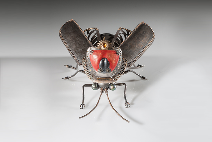 House Fly (960x480), Png Download