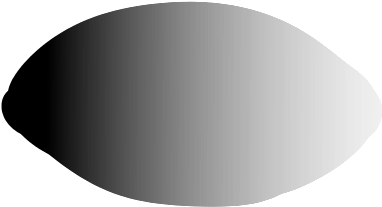 New Firealpaca Brush I Call It Speckles - Table (450x423), Png Download