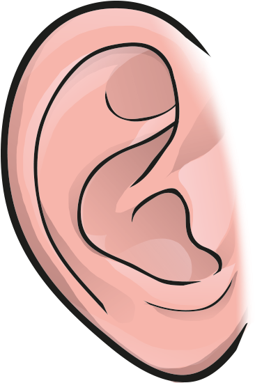 Ear - Illustration (1085x651), Png Download