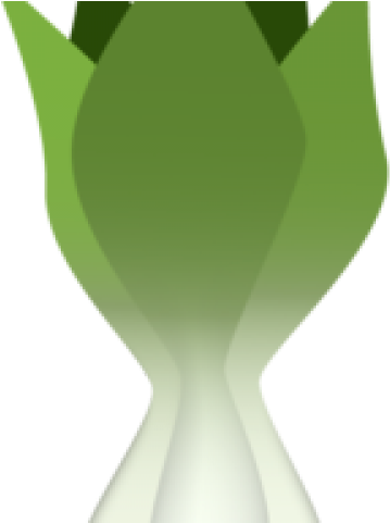 Bok Choy Clipart Single Vegetable - Vase (640x480), Png Download
