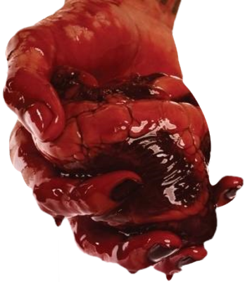 Body-005 - Bleeding Through Album Covers (348x400), Png Download