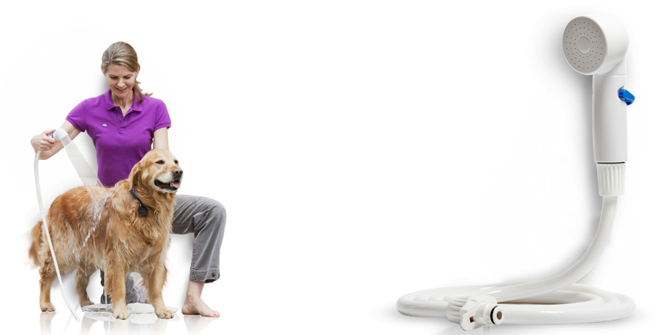 Quick And Easy At-home Pet Bathing - Rinse Ace (958x490), Png Download