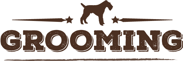 Grooming - Veruca Salt - M In Pink (601x210), Png Download