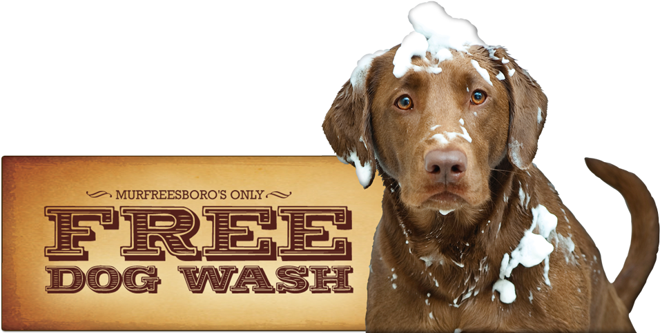 Kelton's Free Dog Wash - Marmont Hill Ride On Graphic Art On Wrapped Canvas (1000x507), Png Download