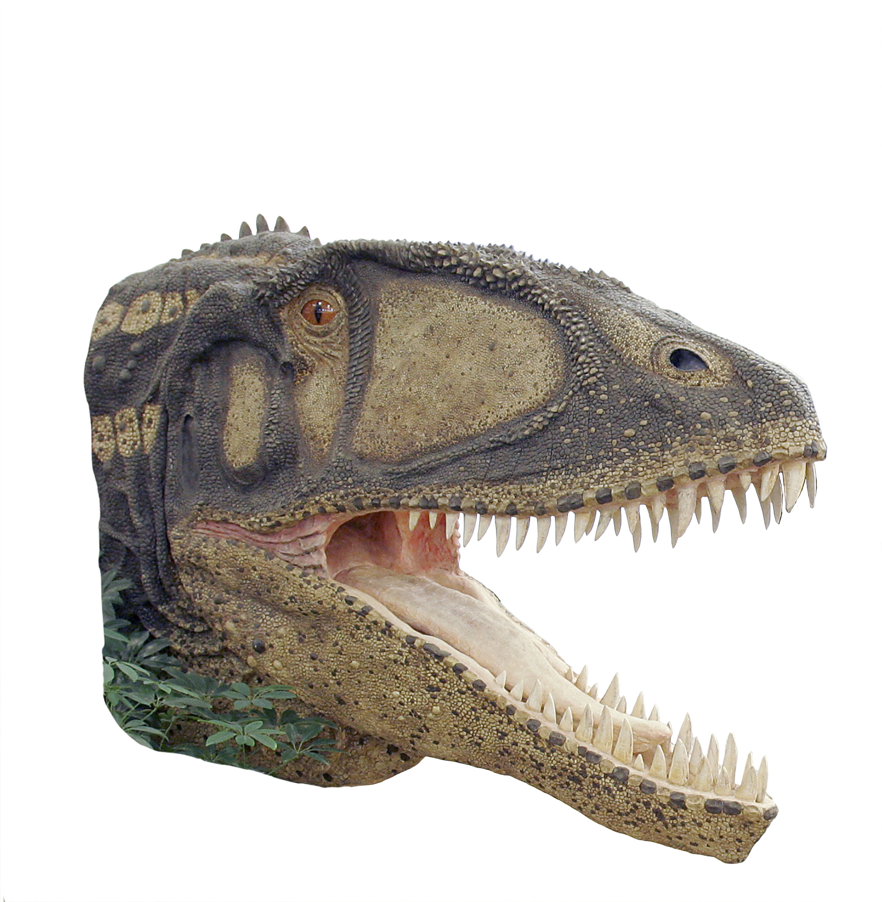 Early Dinosaurs (2904x2970), Png Download