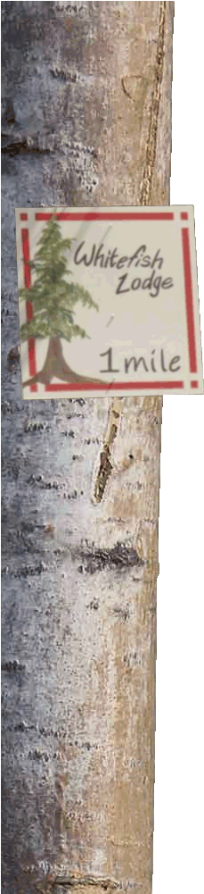 Whitefish Lodge & Suites (300x1000), Png Download