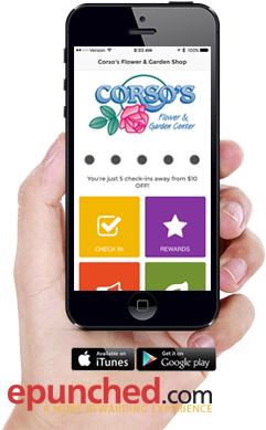 Your App, Your Way - Loyalty Program (297x416), Png Download