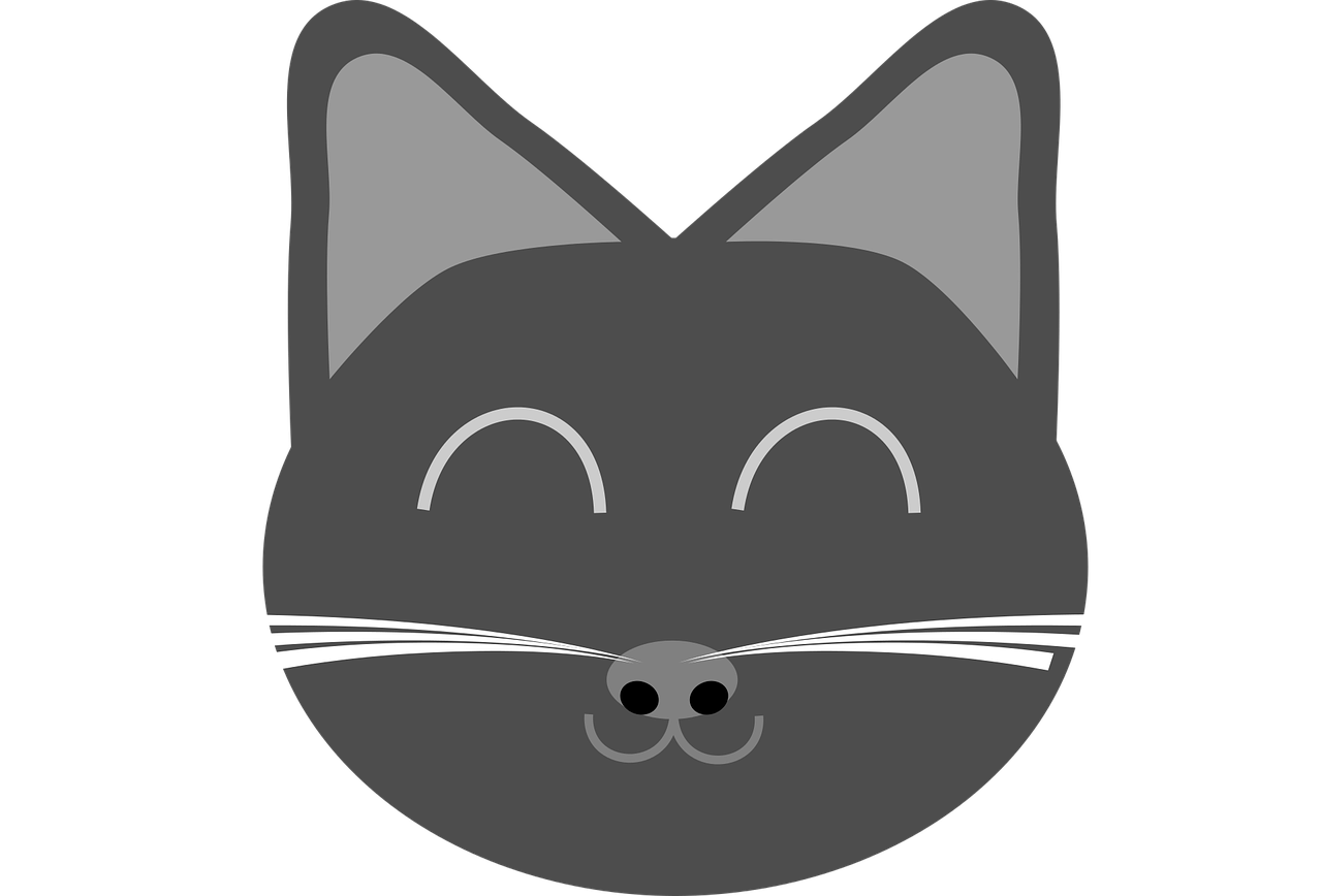Cat,a Young Kitten,gray - Cat (1280x868), Png Download
