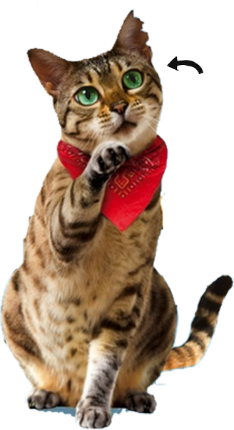 Atticus Claw (328x603), Png Download