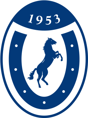 Colts Fc - Horse Cb Edit Background (420x380), Png Download