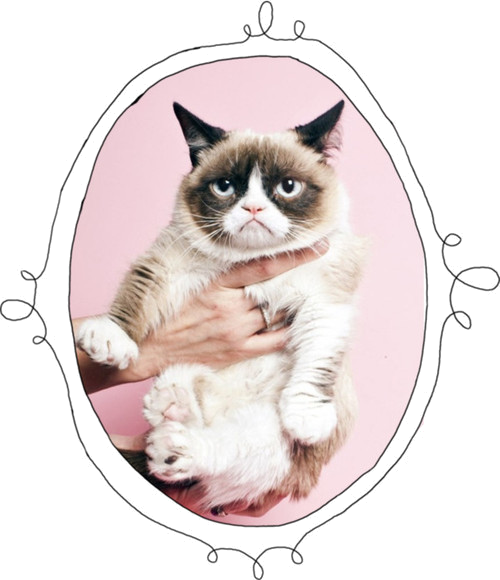 27 Images About Grumpy Cat On We Heart It - Olso Knitting New 2014 Pullover Free Shipping Wholesale (500x580), Png Download