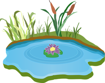 Lily Pad Clipart Garden Pond - Free Clipart Pond (427x340), Png Download
