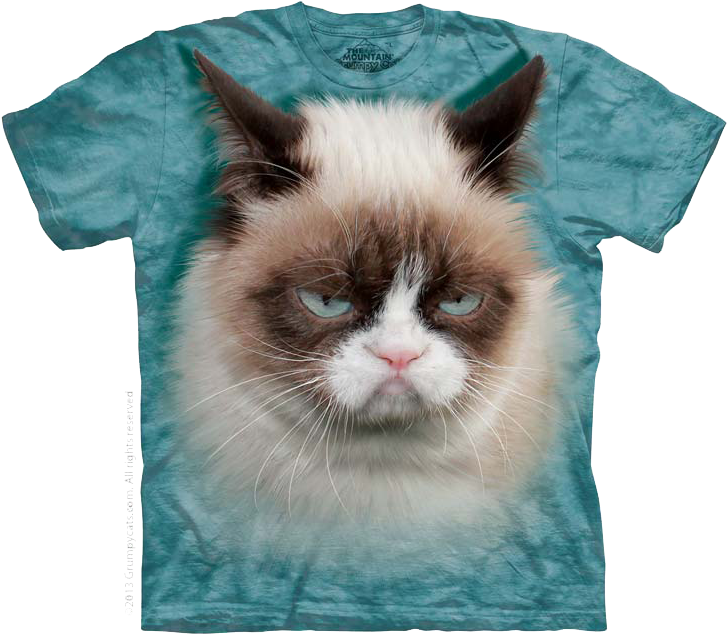 Cutie Pie Kitten, Striped Cat Face, Grumpy Cat - Mountain Grumpy Cat (750x648), Png Download