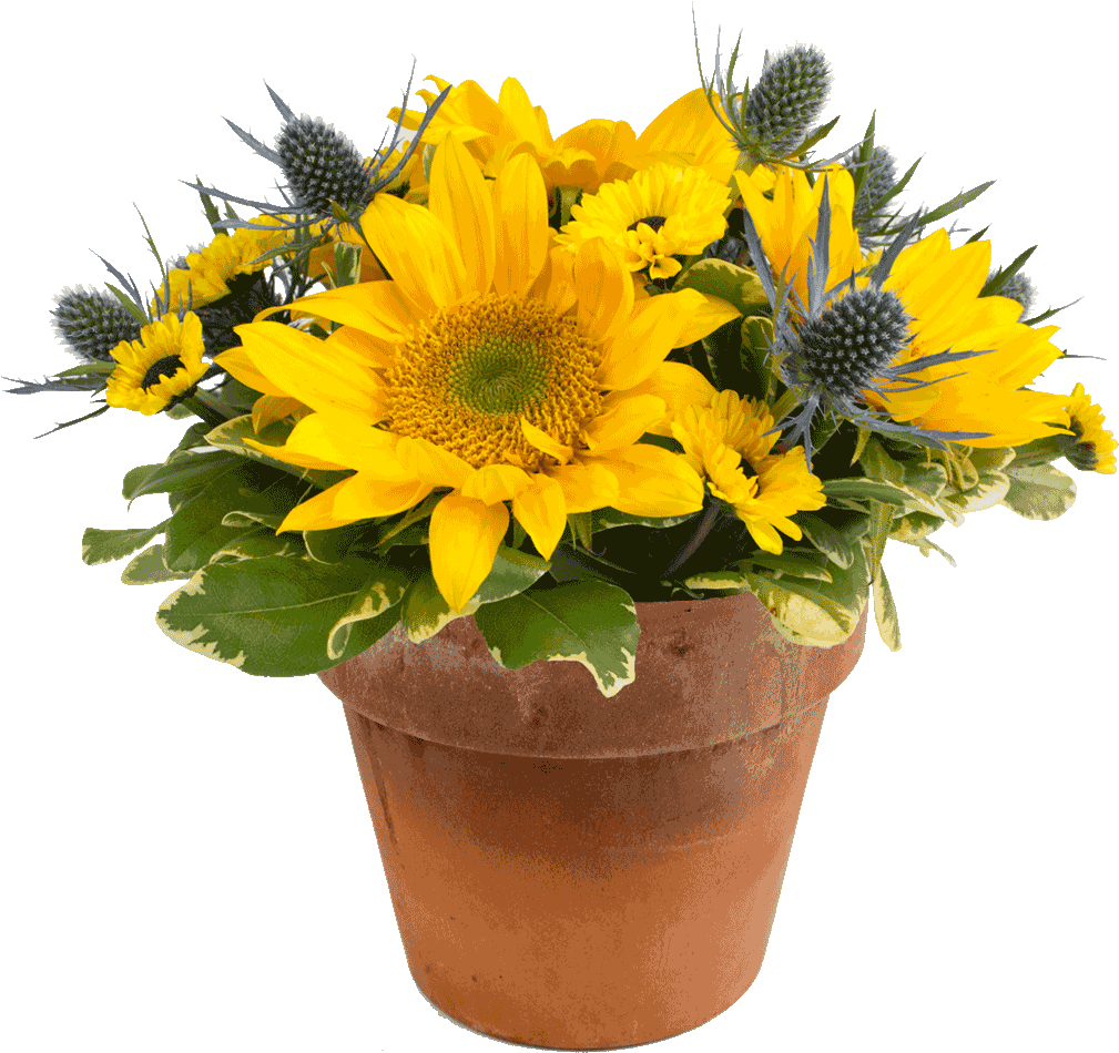 A Sunny Day Bouquet - Flower Bouquet (1024x1024), Png Download