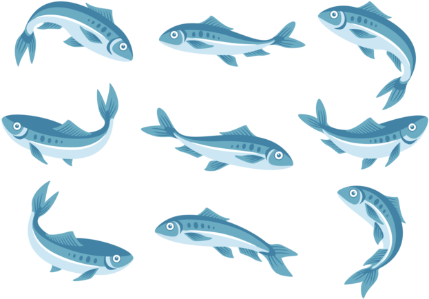 Sardine Icons Vector - Sardine Vector (700x490), Png Download